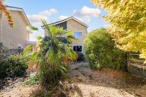 Garden- click for photo gallery